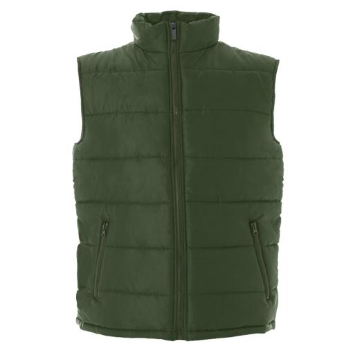 Зеленый, темно-зелёный Зеленый, #006400