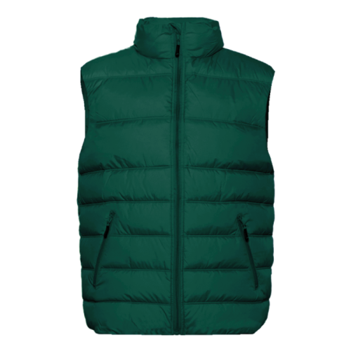 Тёмно-зелёный